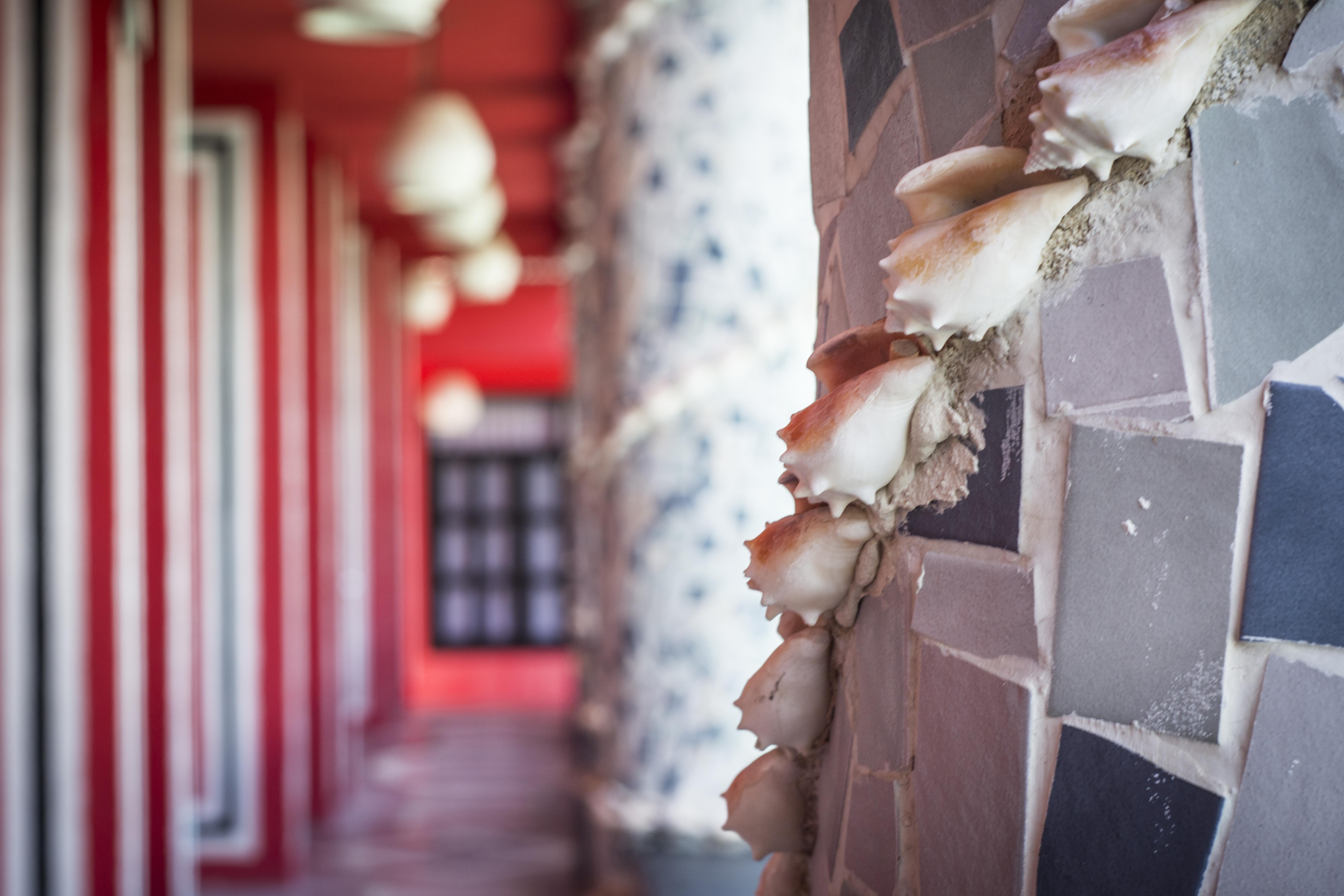 Maya Del Mar On Fifth Avenue Playa del Carmen Exterior photo